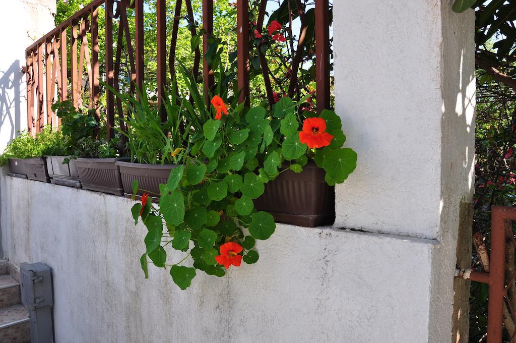 Guest House Marojevic Igalo Exterior photo