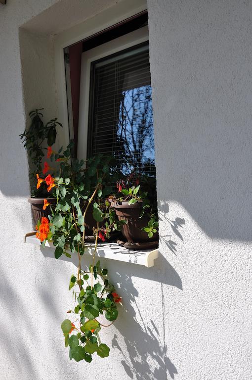 Guest House Marojevic Igalo Exterior photo
